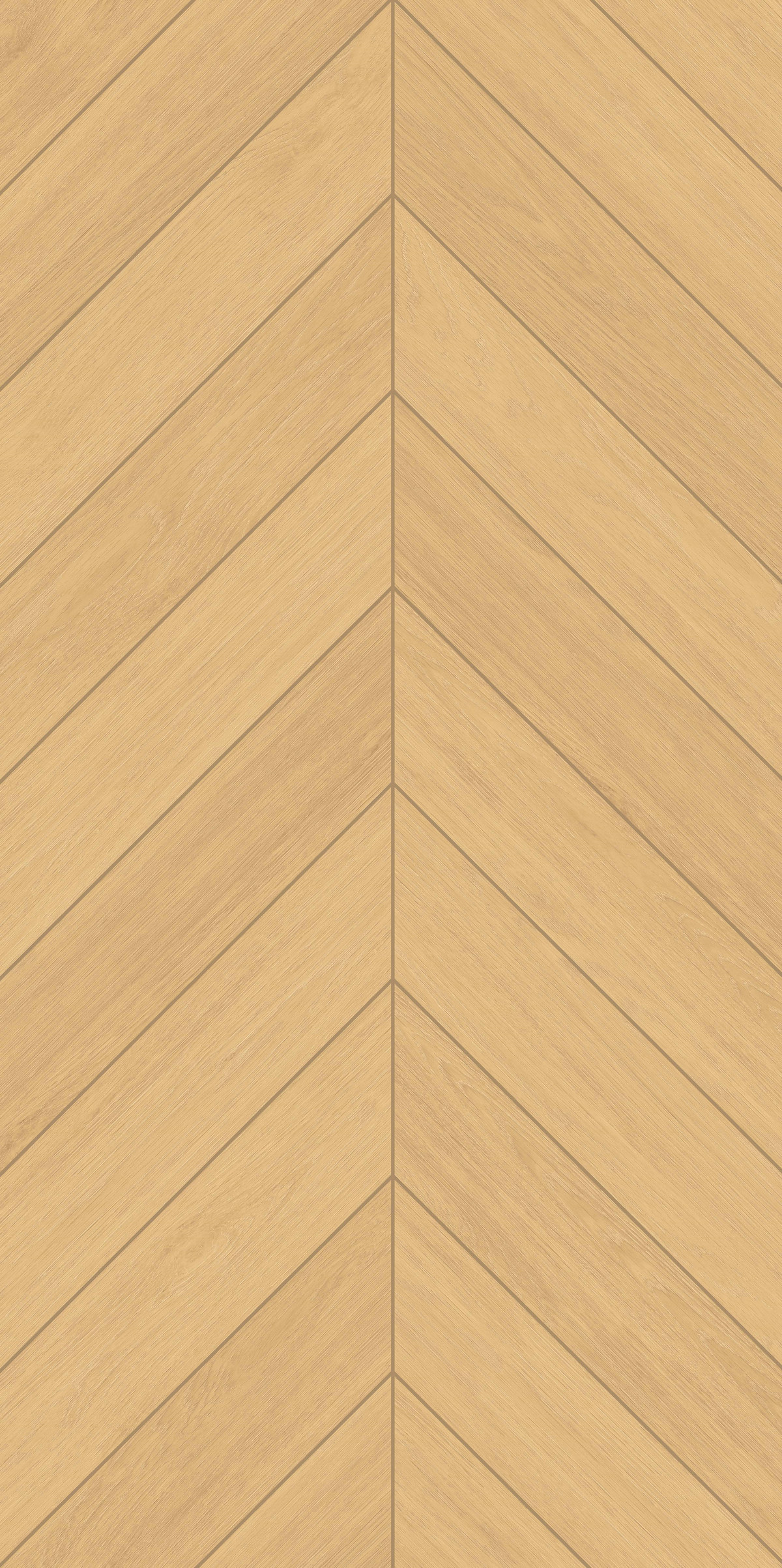 流金櫸木 FMJR126206C 產(chǎn)品圖