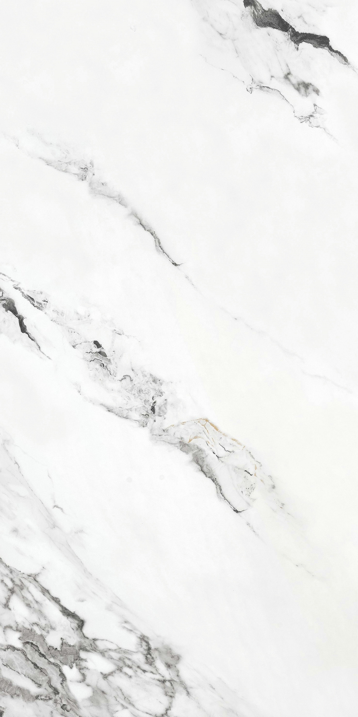 東方白  DLL918116F產品圖