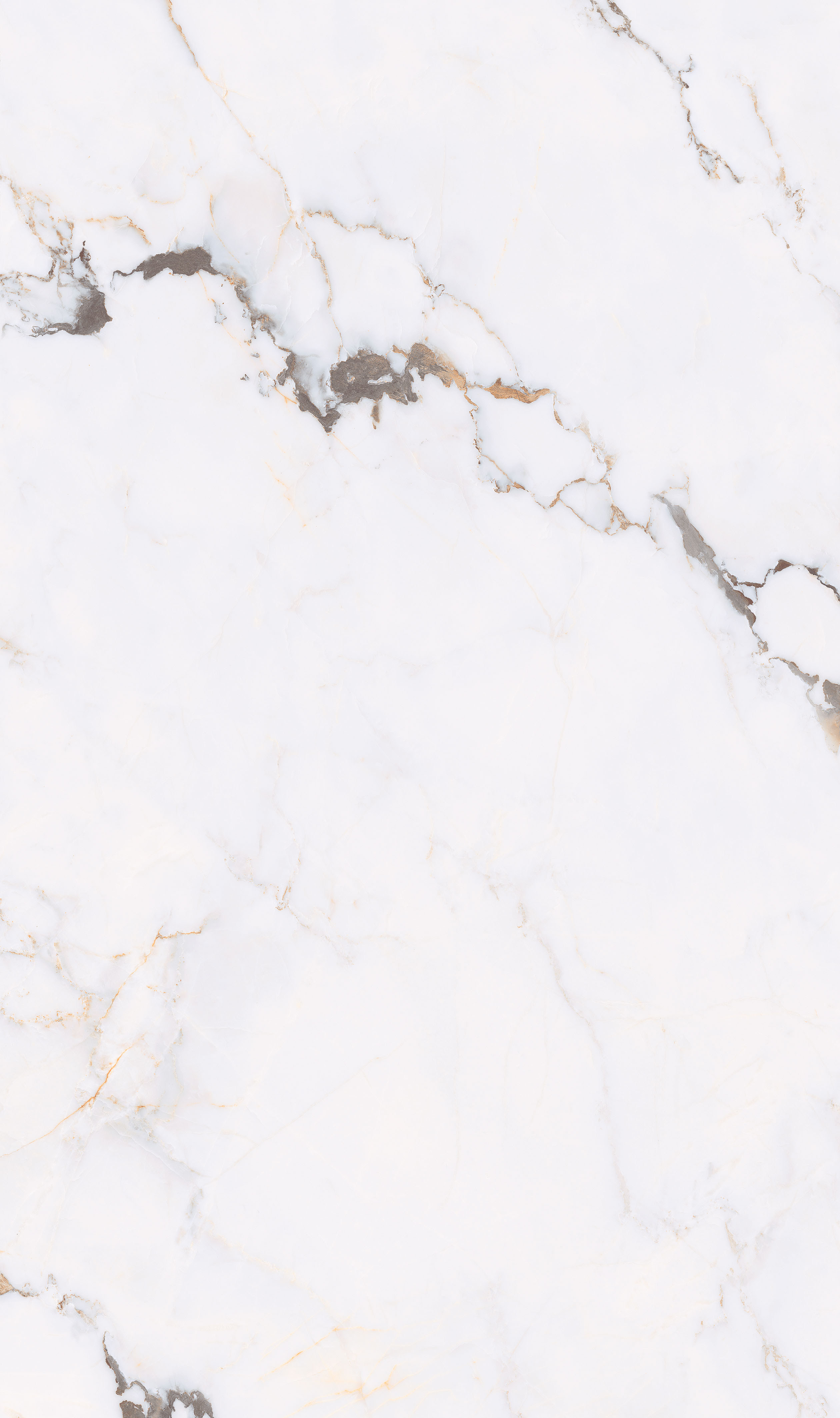 寶格麗 Q8135ZS266C 產(chǎn)品圖