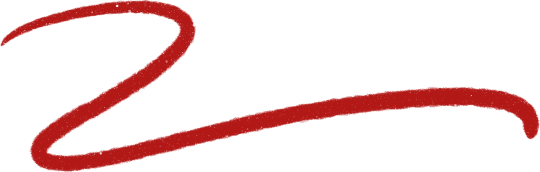 火力全開！強輝“雙11居家煥新寵粉節”兩廣聯動圓滿收官(圖7)